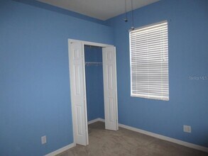 11204 Avery Oaks Dr in Tampa, FL - Building Photo - Building Photo