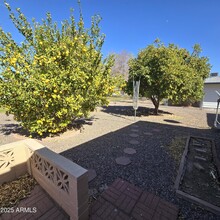 10426 W Camden Ave in Sun City, AZ - Building Photo - Building Photo