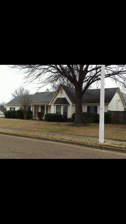 2696 Green Hollow Ln in Memphis, TN - Building Photo