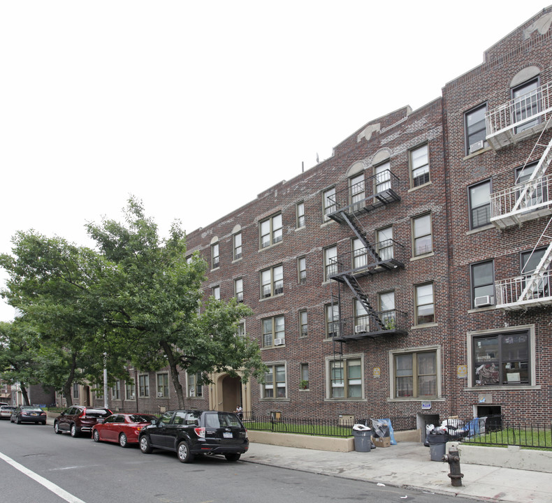 Maple Terrace in Brooklyn, NY - Building Photo