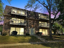 209 W Ct of Shorewood in Vernon Hills, IL - Building Photo