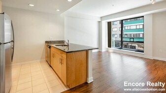 4 Emerson Pl, Unit 908 in Boston, MA - Building Photo