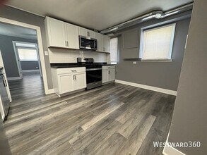 508 W 46th St in Chicago, IL - Building Photo - Building Photo