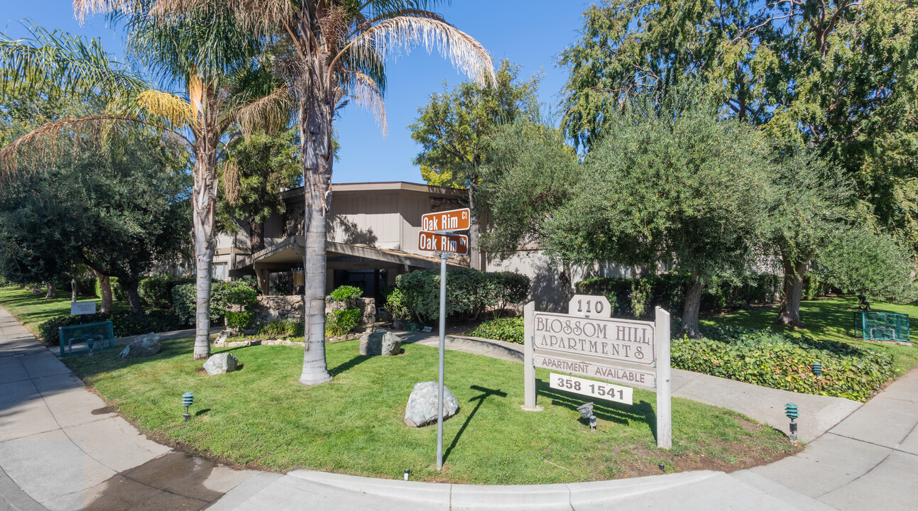 Blossom Hill Terrace Apartments in Los Gatos, CA - Building Photo