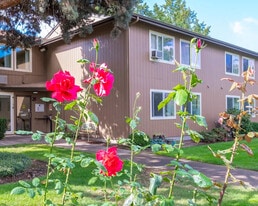 Millwood Manor in Albany, OR - Building Photo