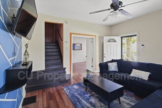 704 S Vine St in Urbana, IL - Building Photo - Building Photo