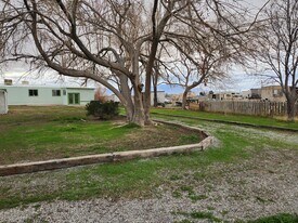 1111 Hardy Ln in Pahrump, NV - Building Photo