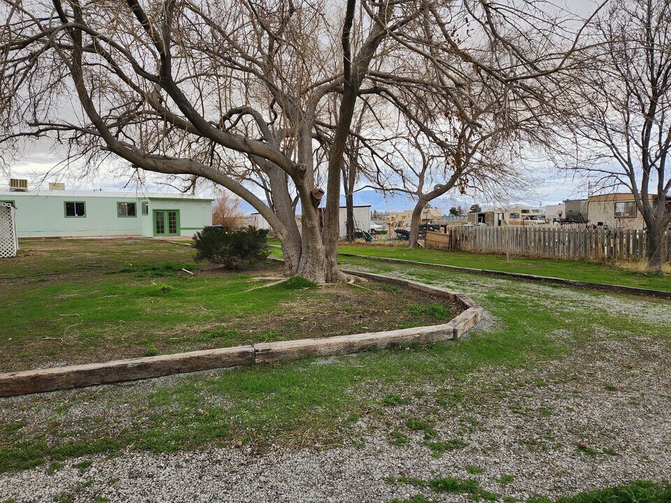 1111 Hardy Ln in Pahrump, NV - Building Photo