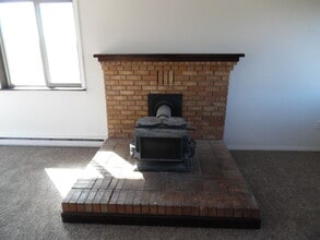 955 Forest Hill Rd in Woodland Park, CO - Building Photo - Building Photo