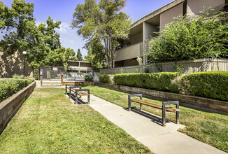 Amber Grove in Sacramento, CA - Building Photo - Building Photo