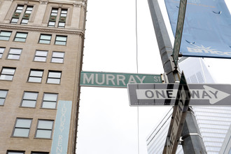 53 Murray St in New York, NY - Foto de edificio - Building Photo