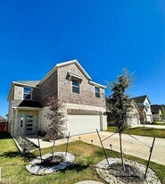 216 Breccia Trl in Liberty Hill, TX - Building Photo