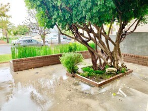 3491 Eboe St in Irvine, CA - Building Photo - Building Photo