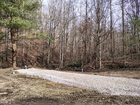 362 Ester Spur Rd in Waynesburg, KY - Building Photo