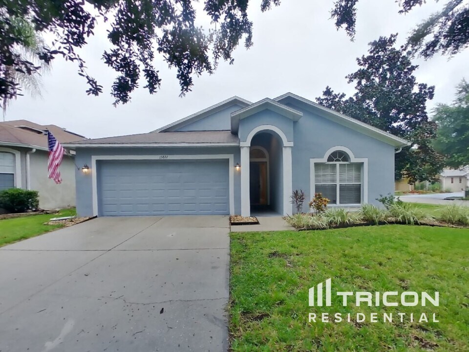 15822 Pond Rush Ct in Land O Lakes, FL - Building Photo
