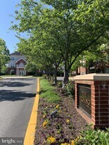 4854 Eisenhower Ave in Alexandria, VA - Building Photo