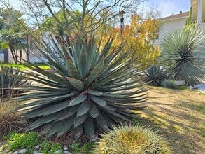 2321 Mariondale Ave in Los Angeles, CA - Building Photo - Building Photo