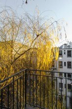 252 Mott St, Unit 5R in New York, NY - Building Photo - Building Photo