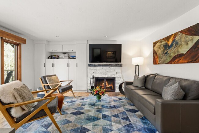 1020 E Durant Ave in Aspen, CO - Building Photo - Building Photo