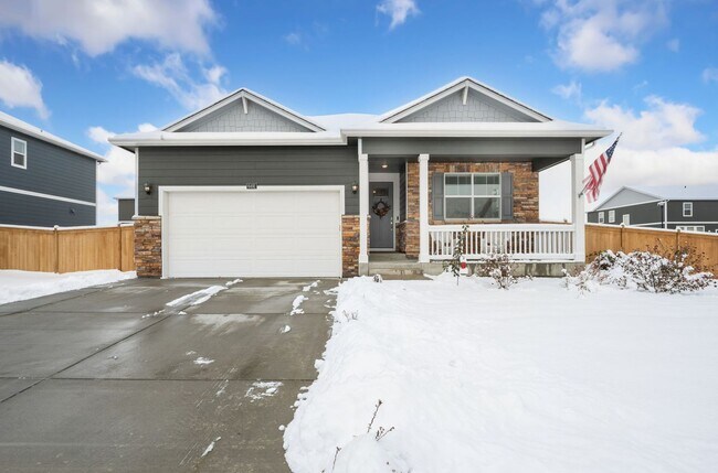 6491 Globeflower St in Wellington, CO - Building Photo - Building Photo