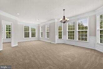 22664 Amberjack Square in Ashburn, VA - Building Photo - Building Photo