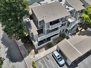 3402 Pinewood Terrace, Unit 211 in Fremont, CA - Building Photo - Building Photo