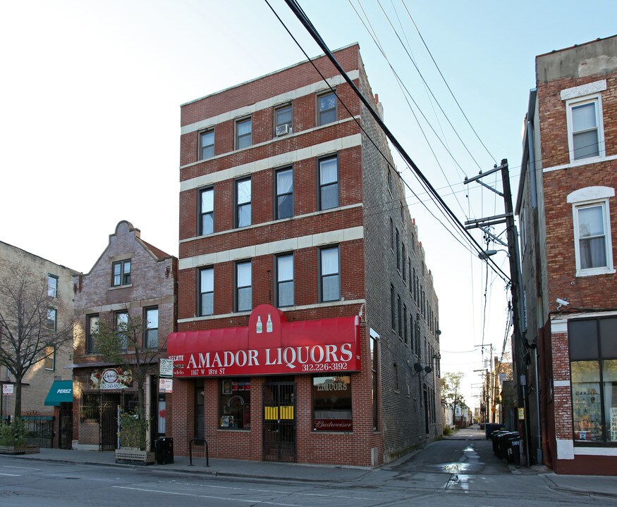 1167 W 18th St in Chicago, IL - Building Photo