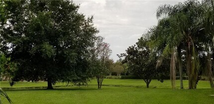 8602 Herons Cove Pl in Tampa, FL - Building Photo - Building Photo