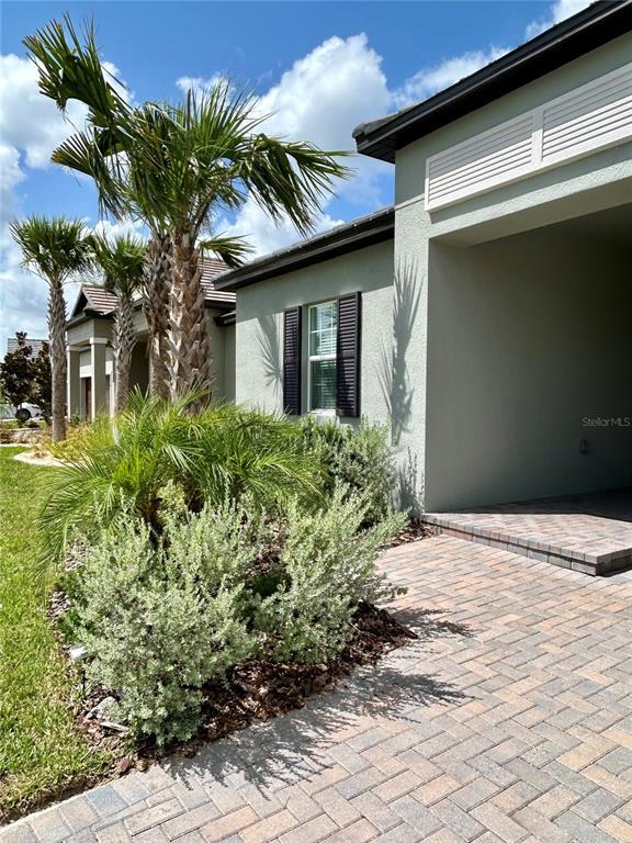 10864 Banyan Breeze Blvd in Land O Lakes, FL - Building Photo - Building Photo