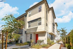 29438 Urbia Way in Hayward, CA - Building Photo