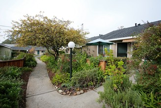 Oak Ridge Apartments in Sonoma, CA - Building Photo - Building Photo