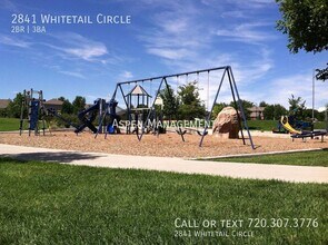 2841 Whitetail Cir in Lafayette, CO - Building Photo - Building Photo