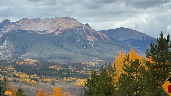 311 W La Bonte St in Dillon, CO - Building Photo - Building Photo