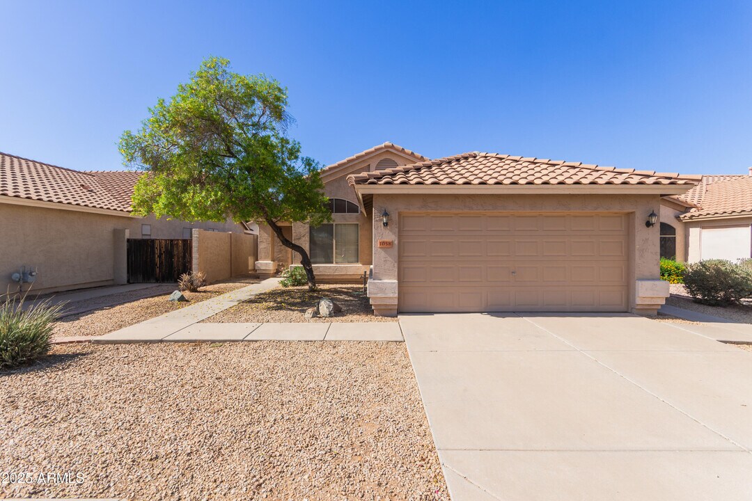 1058 West Swan Drive in Chandler, AZ - Building Photo
