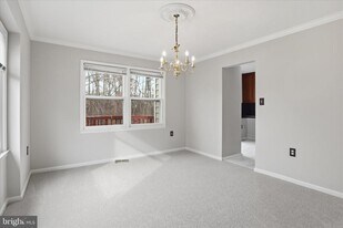 14518 Creek Branch Ct in Centreville, VA - Building Photo