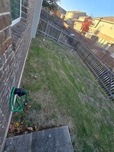 602 Pearly Eye Dr in Pflugerville, TX - Building Photo - Building Photo