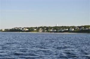 239 Phillips Rd in Sandwich, MA - Building Photo - Building Photo