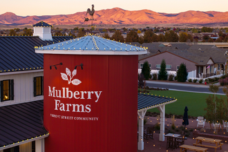 Mulberry Farms in Dewey, AZ - Building Photo - Building Photo