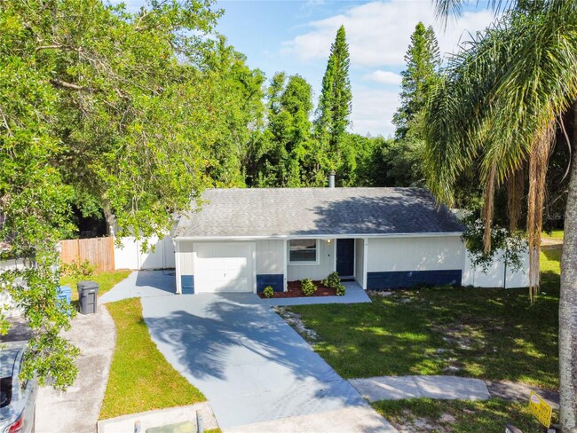 14003 Ridgedale Way in Citrus Park, FL - Building Photo - Building Photo