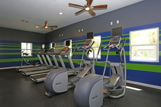 ULake Student Spaces in Tampa, FL - Building Photo - Interior Photo
