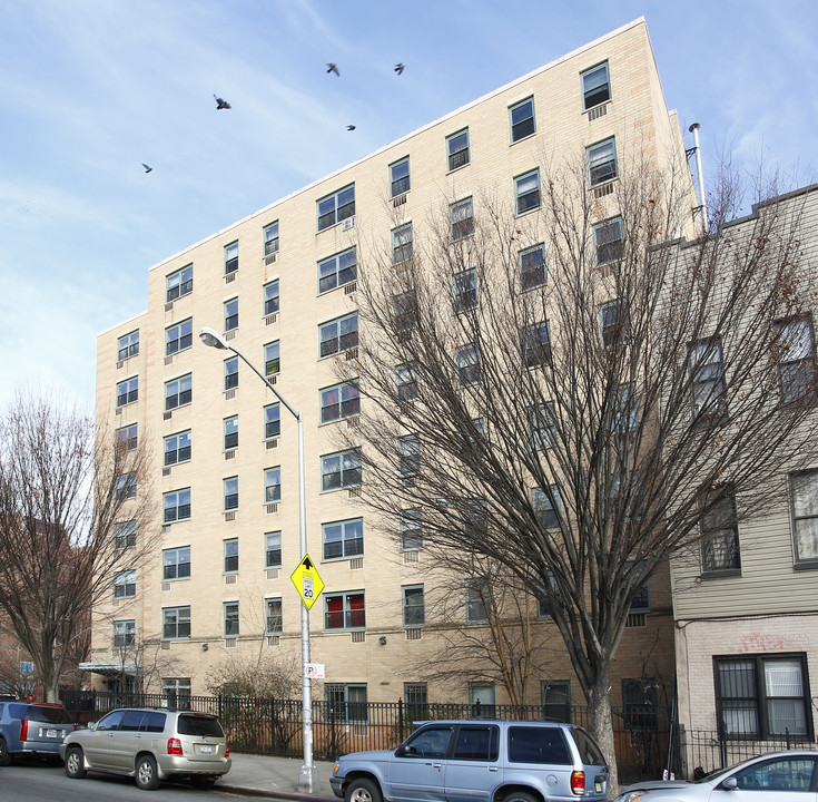 Plaza De Los Ancianos in Brooklyn, NY - Foto de edificio