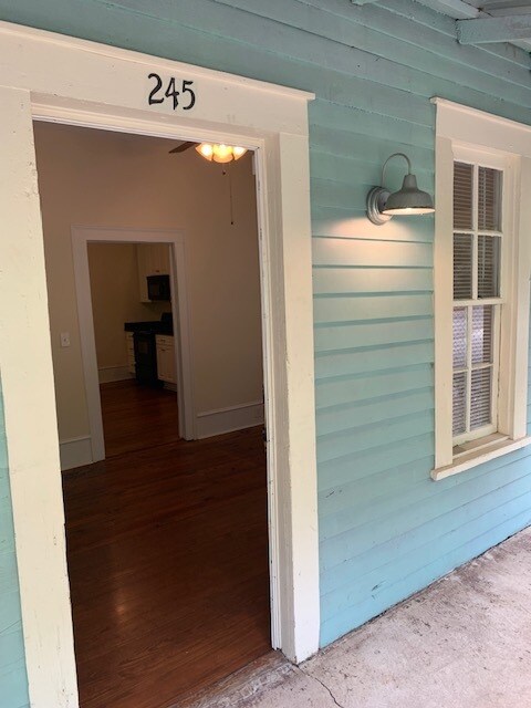 245 N Pope St in Athens, GA - Building Photo