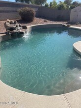 741 SOHO Pl in Chandler, FL - Building Photo - Building Photo