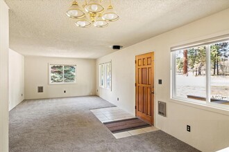 172 Hold Dr in Bigfork, MT - Building Photo - Building Photo