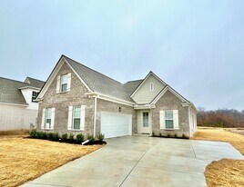 8755 Shipp Cv in Millington, TN - Building Photo