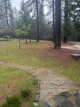 10728 Cedar Ave in Grass Valley, CA - Building Photo - Building Photo