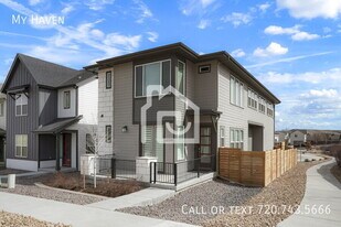 10599 Oncilla Ln in Littleton, CO - Building Photo