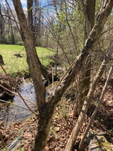 2305 S Greenwood Dr in Johnson City, TN - Building Photo - Building Photo