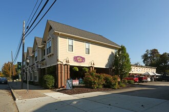 696 N Mill St in Plymouth, MI - Building Photo - Building Photo