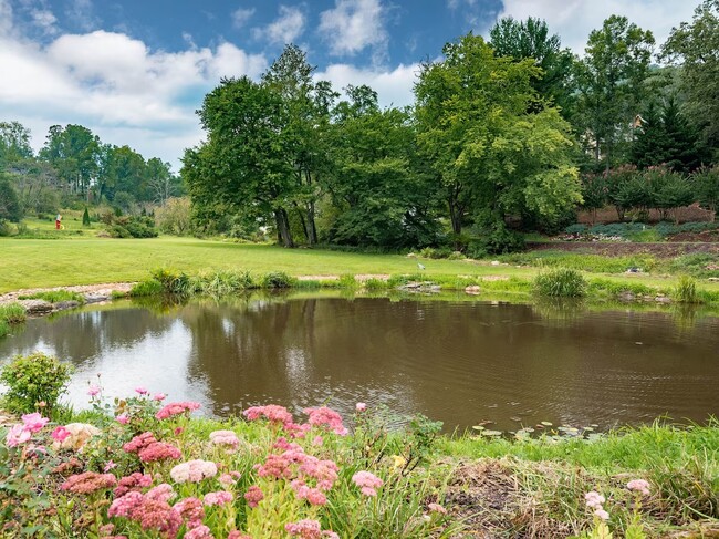 244 S Plains Dr, Unit Carriage House Apartment in Asheville, NC - Building Photo - Building Photo